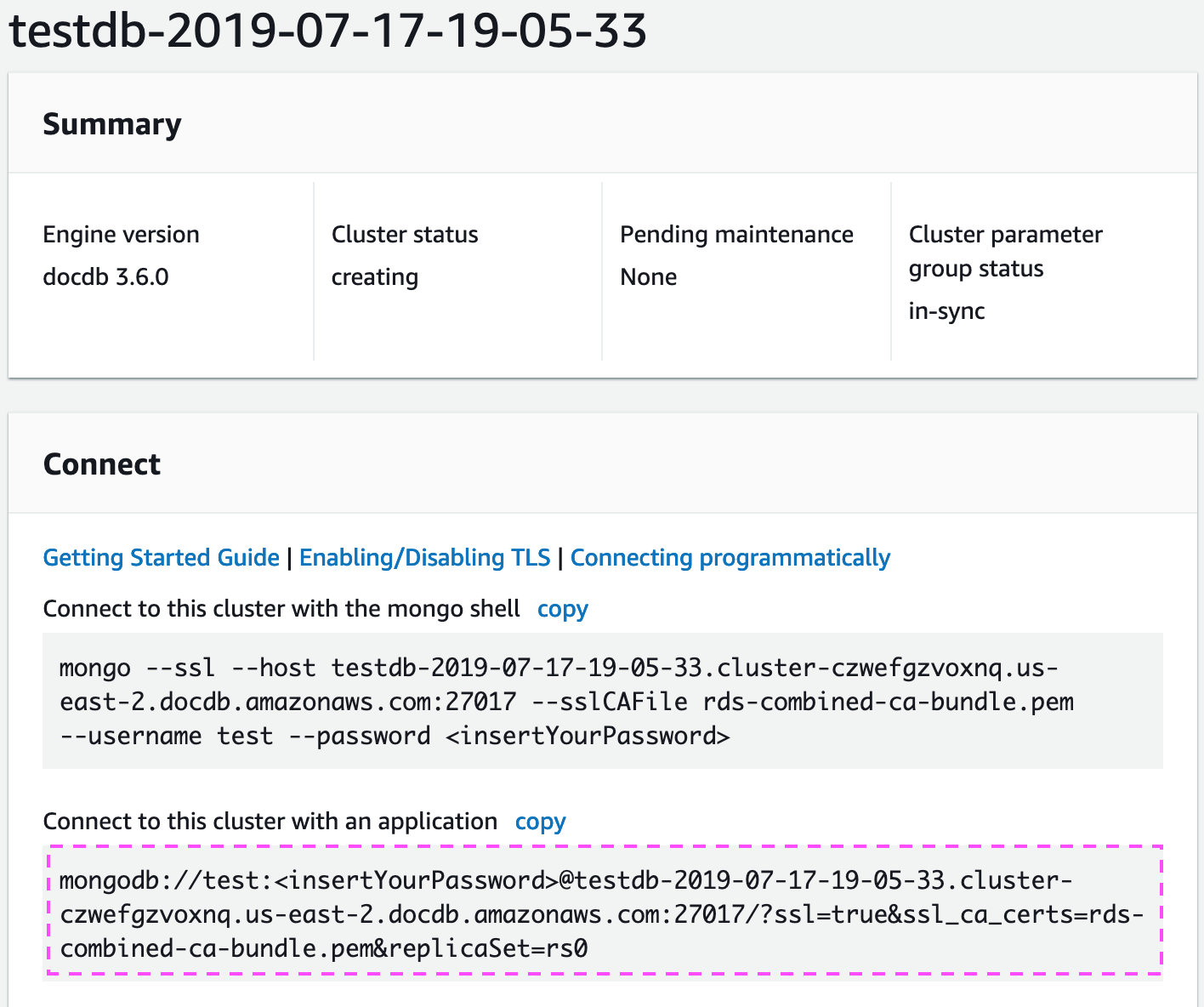 Amazon DocumentDB Cluster details